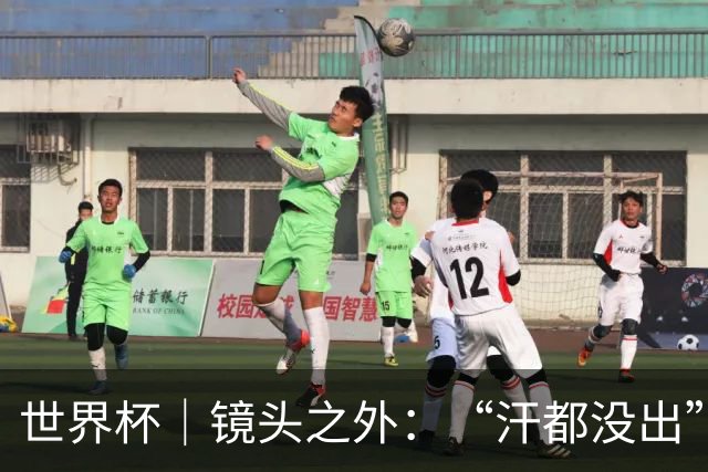 世界杯｜镜头之外：“汗都没出”的哈兰德，怎么就决定了比赛？