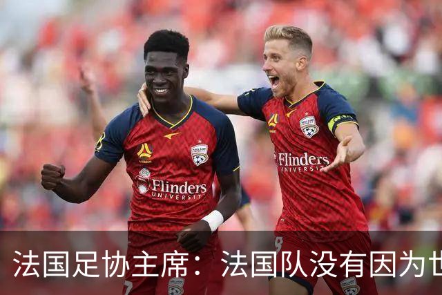 法国足协主席：法国队没有因为世界杯奖金问题而气氛紧张